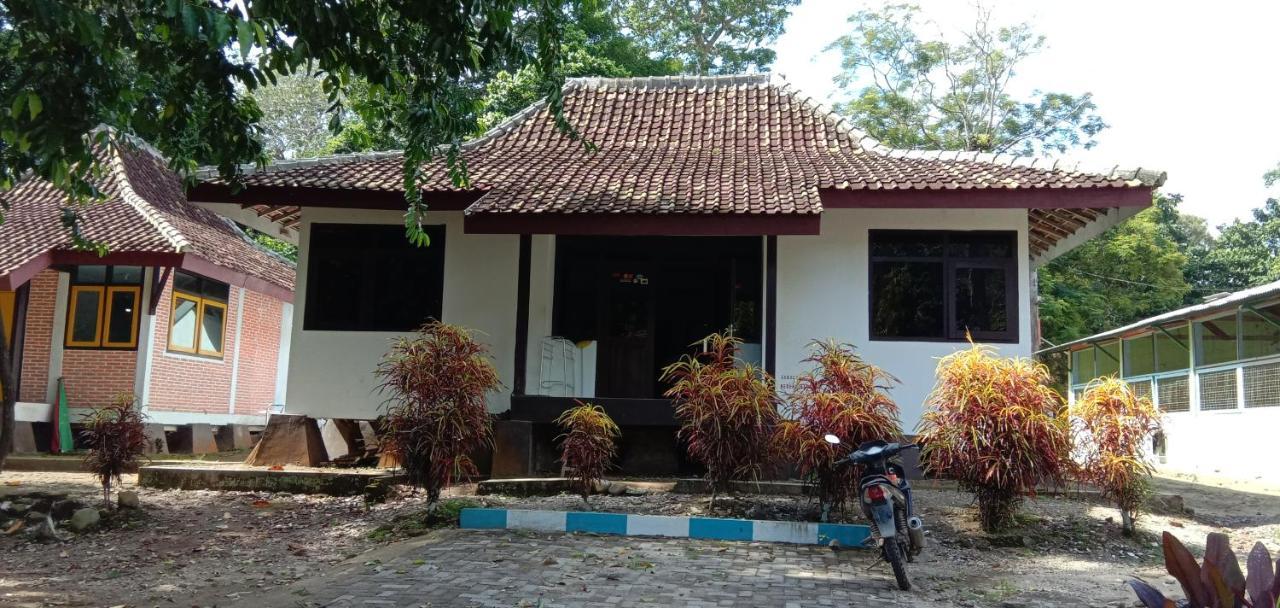 Bed and Breakfast Sukamade Adventure Tour Package Banyuwangi  Esterno foto